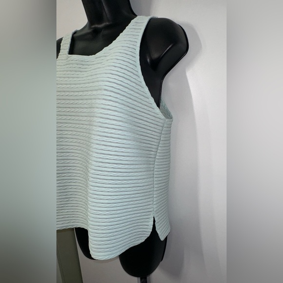 Express | NWOT Wide Sheer Sleeveless Blouse. Light horizontal stripes - Picture 9 of 16
